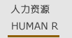 人力资源