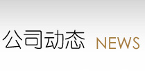公司动态